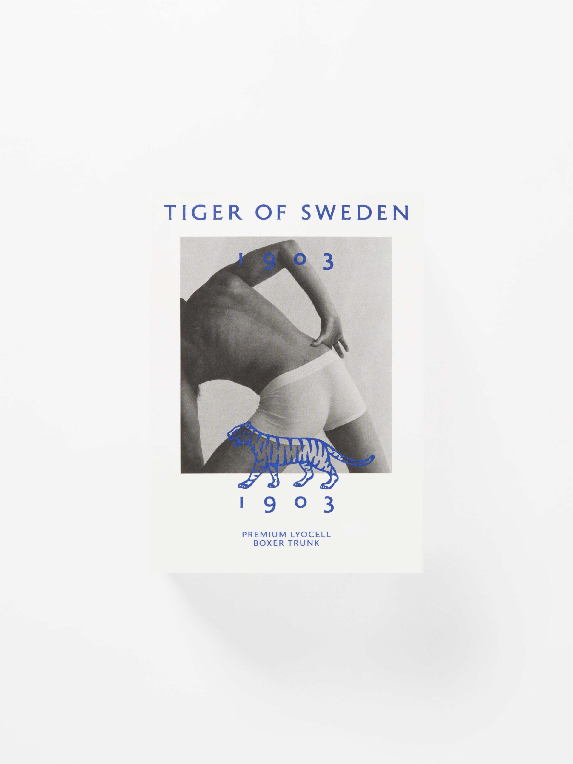 Boxers Brage Tiger Of Sweden Sous-Vêtements Homme Pure White – 2